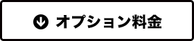 オプション料金