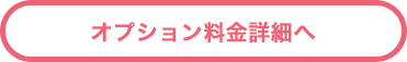 オプション料金詳細へ